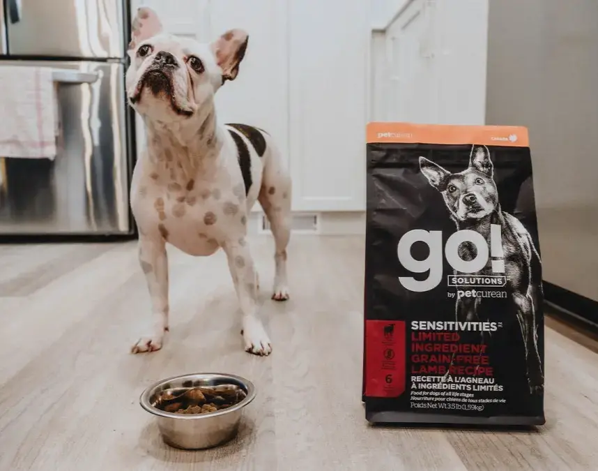 Pet Flexible Packaging Advantage 1 - Superior Freshness Protection